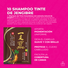 Cargar imagen en el visor de la galería, 10 Shampoo Tinte Instantáneo de Jengibre
