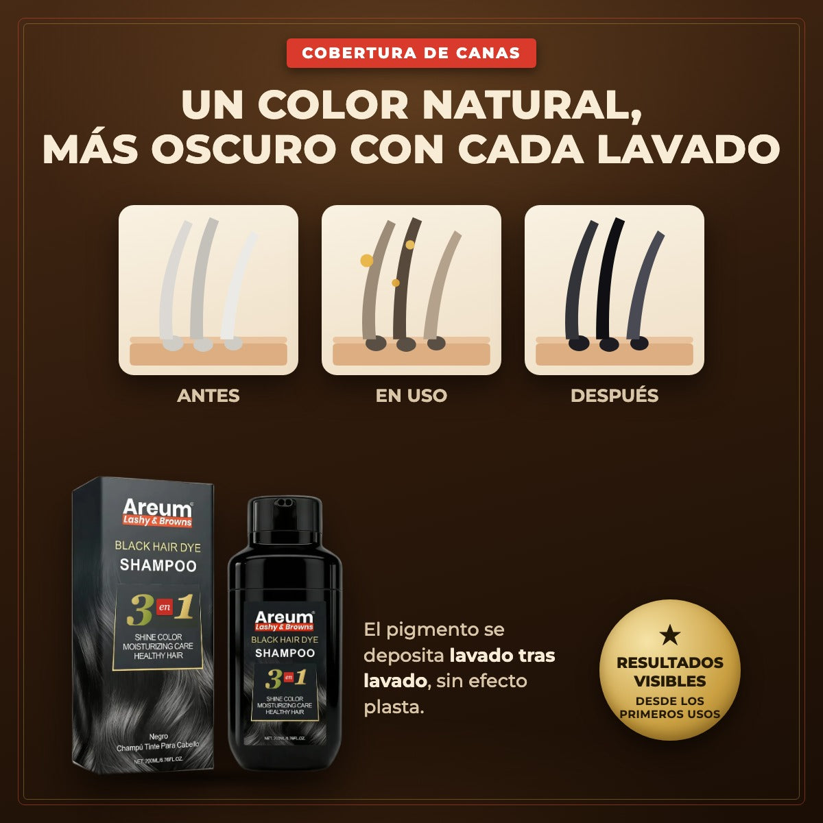 Shampoo Tinte Areum 3 en 1