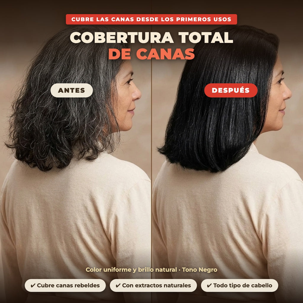 Shampoo Tinte Cubre Canas Areum 3 en 1 · 500 ml