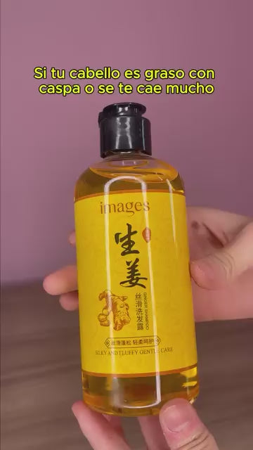 OnlyShop · shampoo jengibre